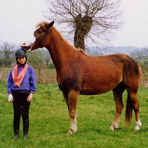 2009