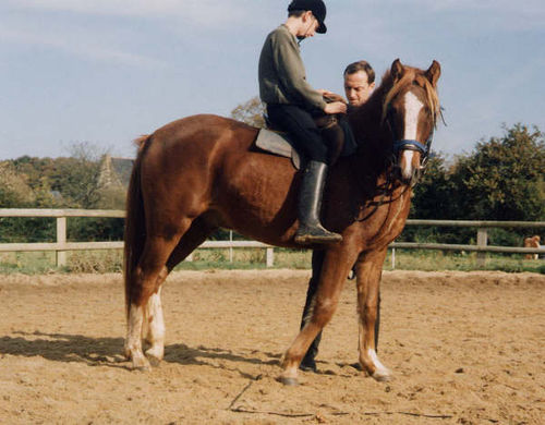 Elduke   1994b