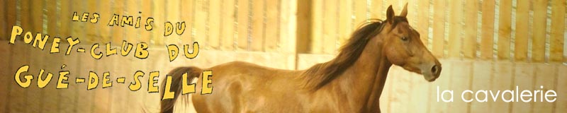 http://gue.de.selle.free.fr/pic/image-cavalerie-pages.jpg
